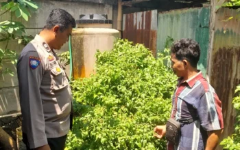 Optimalkan Lahan Kosong, Warga Senggigi Diedukasi Diversifikasi Pangan