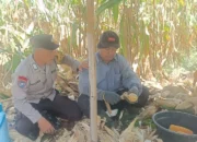 Polres Lombok Barat Kawal Stabilitas Harga Beras untuk Lindungi Warga