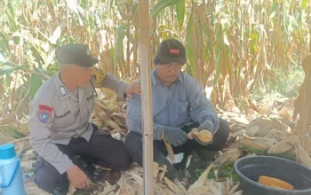 Polres Lombok Barat Kawal Stabilitas Harga Beras untuk Lindungi Warga