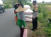 Peran Polisi di Balik Panen Jagung Sukses Petani Lombok Barat