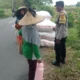 Sinergi Polri dan Petani, Panen Jagung di Dasan Geres Sukses Besar