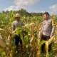 Kapolsek Kuripan: Ketahanan Pangan Harus Dimulai dari Desa