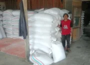 Ketahanan Pangan NTB: Polisi Kawal Serapan Jagung Petani