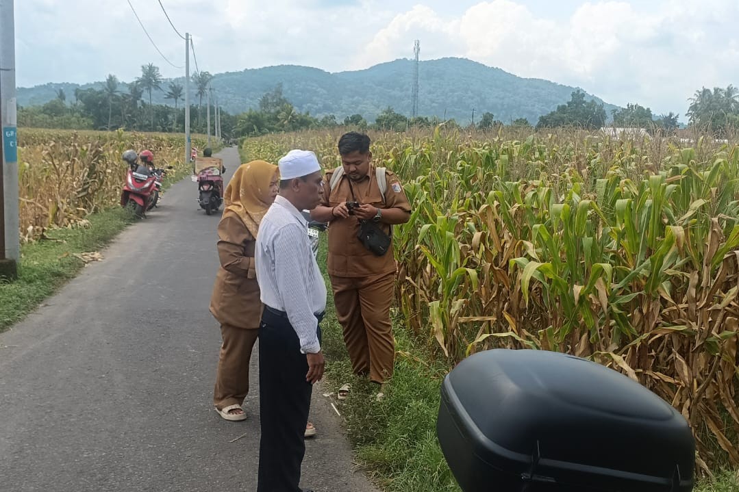 Panen Jagung di Babussalam, Polri Jadi Sahabat Petani Lombok Barat