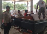 Polsek Sekotong Jamin Jagung Petani Terserap Bulog Tanpa Hambatan