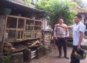 Program Ketahanan Pangan, Warga Jagaraga Mulai Beternak Ayam