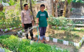 Bhabinkamtibmas Lembar Selatan Turun ke Sawah, Kawal Petani