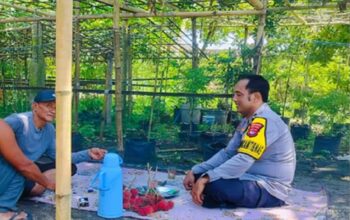 Bhabinkamtibmas Labuapi Dorong Warga Bajur Tanam Sayuran, Jamin Pangan Keluarga