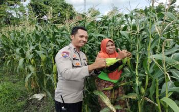 Sinergi Polri dan Warga Labuapi Wujudkan Kemandirian Pangan Keluarga