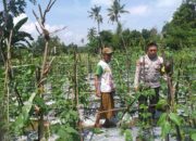 Polri Ajak Warga Lombok Barat Perkuat Ketahanan Pangan Keluarga