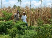 Polri Ajak Warga Lombok Barat Perkuat Ketahanan Pangan Keluarga
