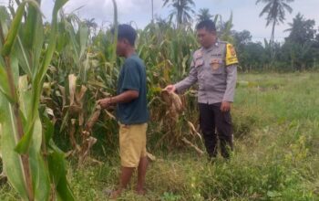 Sinergi Polri dan Warga Wujudkan Kemandirian Pangan di Lombok Barat