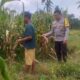 Sinergi Polri dan Warga Wujudkan Kemandirian Pangan di Lombok Barat
