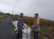 Program Ketahanan Pangan Polsek Kuripan di Desa Jagaraga
