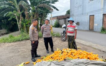Sinergi Polri dan Petani Jagung Karang Bongkot untuk Ketahanan Pangan
