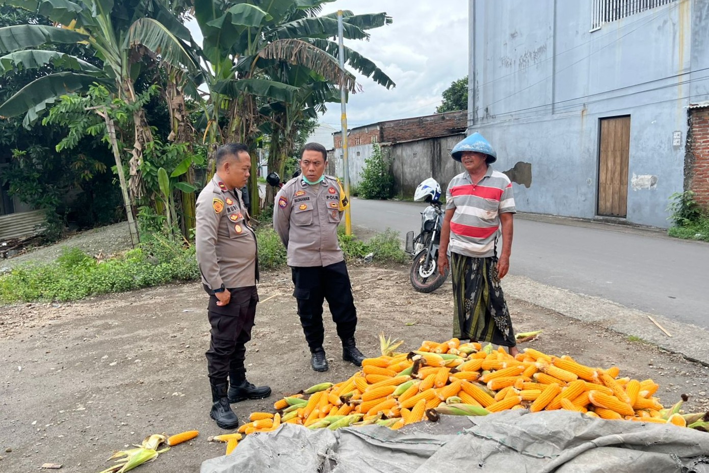 Sinergi Polri dan Petani Jagung Karang Bongkot untuk Ketahanan Pangan