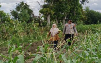 Jaga Ketahanan Pangan, Polsek Labuapi Dorong Warga Tanam di Rumah