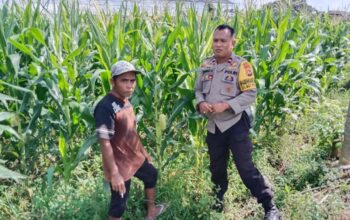 Polsek Labuapi Motivasi Petani di Desa Bagik Polak