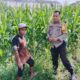 Sinergi Polsek Labuapi dan Petani Jaga Stok Pangan