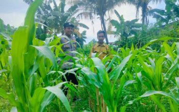 Polri Ajak Warga Bajur Manfaatkan Lahan Pekarangan