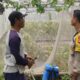 Bhabinkamtibmas Labuapi Dampingi Warga Olah Lahan Pekarangan