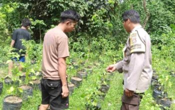 Strategi Polsek Batulayar Tekan Inflasi Melalui Lahan Desa