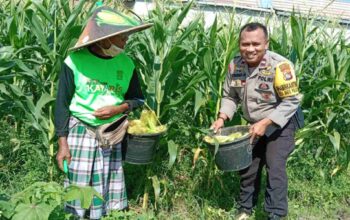 Strategi Polsek Labuapi Wujudkan Kemandirian Pangan