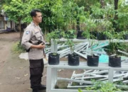 Transformasi Lahan Terbengkalai Jadi Sumber Pangan di Desa Bengkel