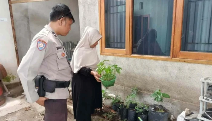 Ketahanan Pangan: Langkah Nyata Polres Lombok Barat di Desa Meninting