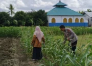 Bhabinkamtibmas Edukasi Warga Telagawaru Manfaatkan Lahan Produktif