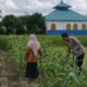 Bhabinkamtibmas Edukasi Warga Telagawaru Manfaatkan Lahan Produktif