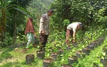 Bhabinkamtibmas Batulayar Edukasi Warga Tanam Sayur di Polibag