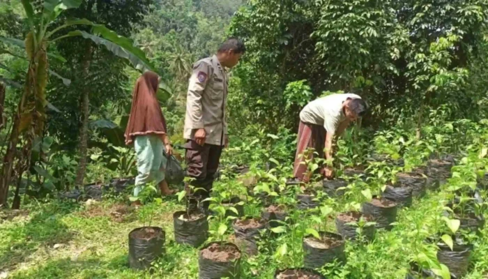 Bhabinkamtibmas Batulayar Edukasi Warga Tanam Sayur di Polibag