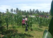 Polri Motivasi Petani Sekotong Barat Optimalkan Lahan Pertanian