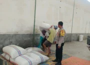 Pastikan Stok Aman, Bhabinkamtibmas di Gerung Cek Gudang Jagung