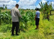 Bhabinkamtibmas Labuapi Dampingi Warga Sulap Lahan Kosong Jadi Produktif