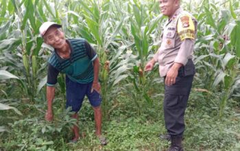 Langkah Polres Lombok Barat Tingkatkan Produktivitas Pangan Desa
