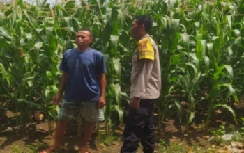 Dukung Swasembada Pangan, Polisi Dampingi Petani di Lombok Barat