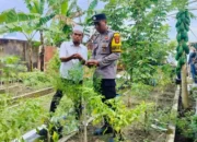 Inovasi Pertanian Terpadu Warga Desa Bajur Dukung Program Presiden