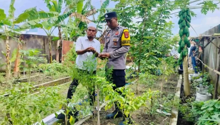 Inovasi Pertanian Terpadu Warga Desa Bajur Dukung Program Presiden