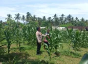 Upaya Polres Lombok Barat Optimalkan Lahan Produktif