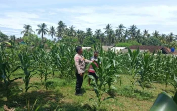 Upaya Polres Lombok Barat Optimalkan Lahan Produktif
