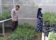 Bhabinkamtibmas Meninting Edukasi Warga Manfaatkan Lahan