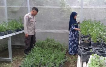 Bhabinkamtibmas Meninting Edukasi Warga Manfaatkan Lahan