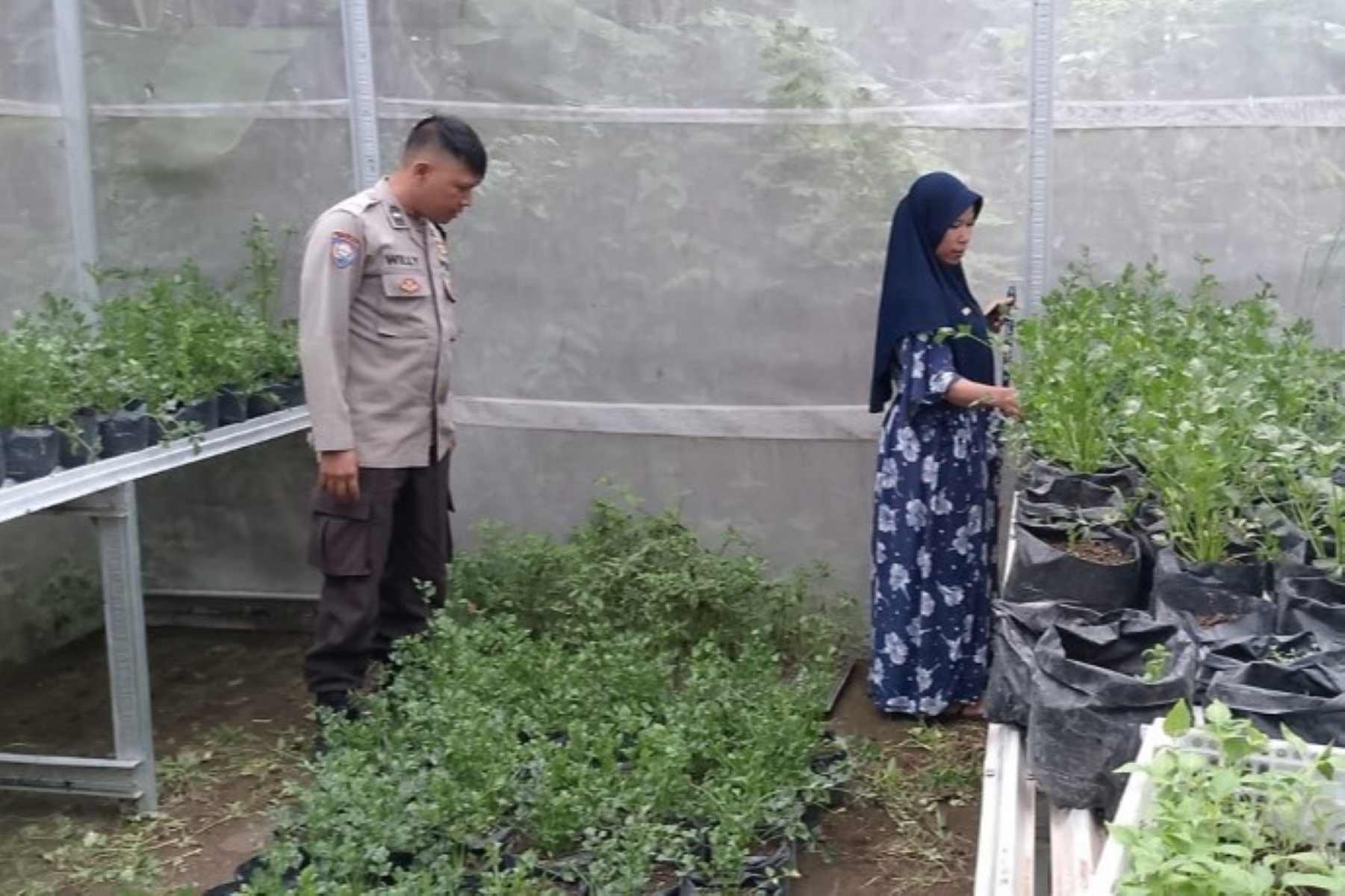 Bhabinkamtibmas Meninting Edukasi Warga Manfaatkan Lahan