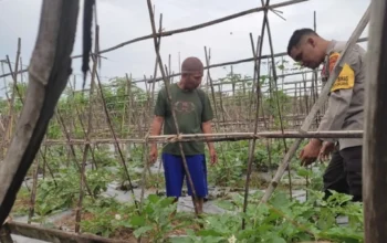 Strategi Polsek Labuapi Perkuat Stok Pangan di Lombok Barat
