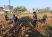 Bhabinkamtibmas Desa Karang Bongkot Dorong Petani Sukseskan Swasembada Pangan