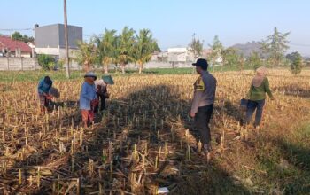 Bhabinkamtibmas Desa Karang Bongkot Dorong Petani Sukseskan Swasembada Pangan