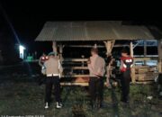 Polsek Sekotong Tingkatkan Patroli Malam Cegah Pencurian Ternak Warga