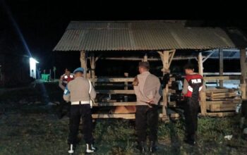 Polsek Sekotong Tingkatkan Patroli Malam Cegah Pencurian Ternak Warga